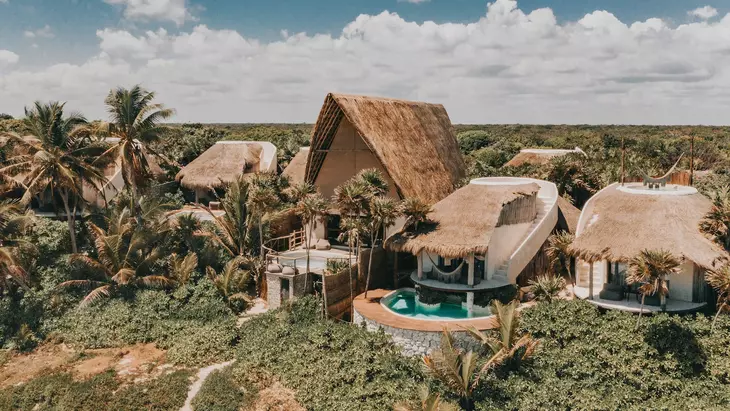 Papaya Playa Project